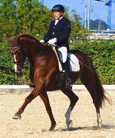 Dressurprüfung 2015_9