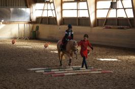 Fasnachtsreiten 2019_1