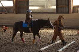 Fasnachtsreiten 2019_8