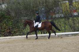 Interne Prüfungen_23