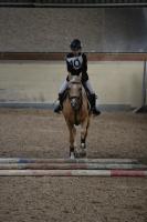Reiterbrevet17_9