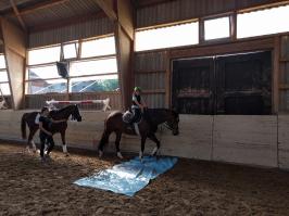 Sommer-Reitlager 2018_28