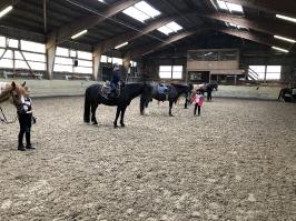 Reitlager_3