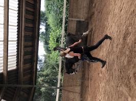 Reitlager_3