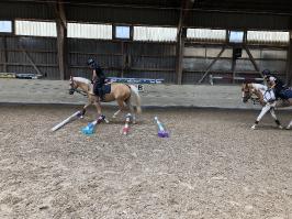 Reitlager_4