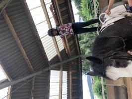 Sommer-Reitlager 2019