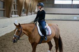 Trainingsdressur 2018_10
