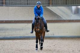 Trainingsdressur 2018_12