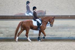Trainingsdressur 2018_14