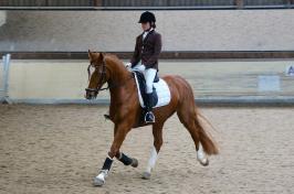 Trainingsdressur 2018_15