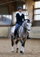 Trainingsdressur 2018_1
