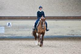 Trainingsdressur 2018_1