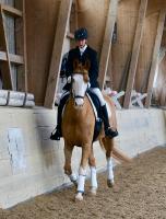 Trainingsdressur 2018_1