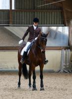 Trainingsdressur 2018_2