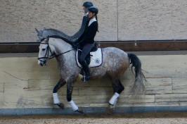 Trainingsdressur 2018_2