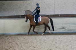 Trainingsdressur 2018_2