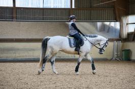 Trainingsdressur 2018_3