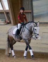 Trainingsdressur 2018_3