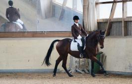 Trainingsdressur 2018_3