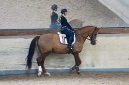 Trainingsdressur 2018_3