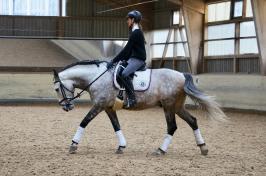 Trainingsdressur 2018_4