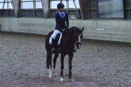 Trainingsdressur 2018_4