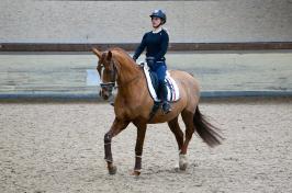 Trainingsdressur 2018_4