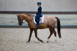 Trainingsdressur 2018_5