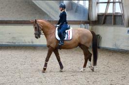 Trainingsdressur 2018_7