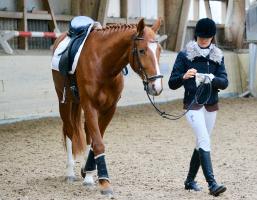 Trainingsdressur 2018_7