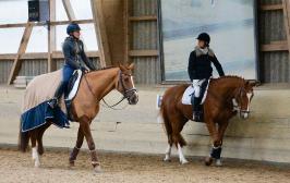 Trainingsdressur 2018_8