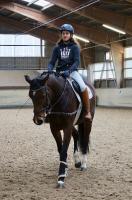 Trainingsdressur 2018_8