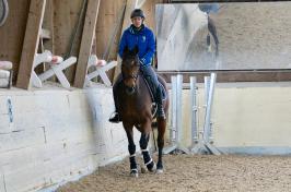 Trainingsdressur 2018_9