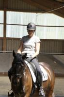 Trainingsdressur im Sommer 2018_1