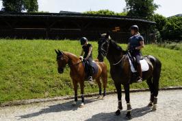 Trainingsdressur im Sommer 2018_5